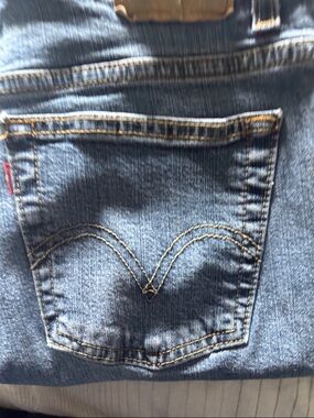 Levi's Blue Denim Jeans with Arcuate Pocket Stitching